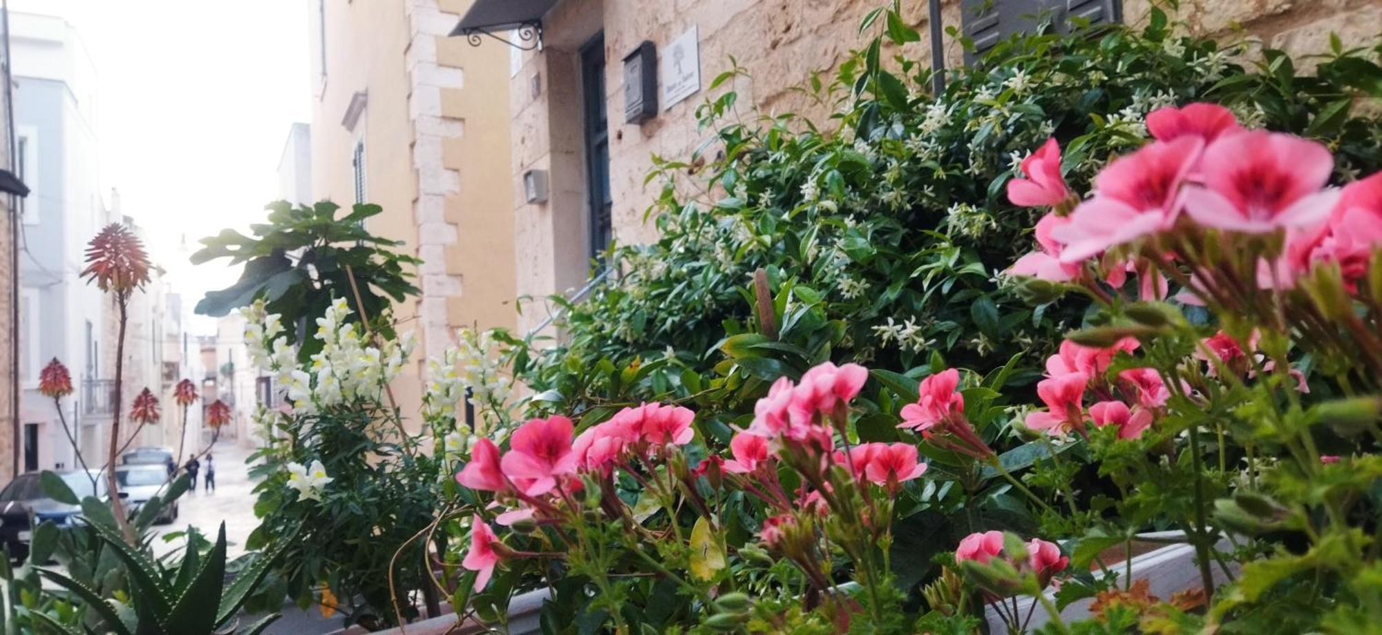 Dimora Delle Badesse Bed & Breakfast Conversano Eksteriør bilde